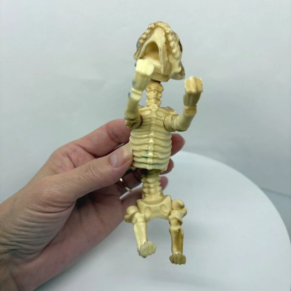 Articulated Cat Skeleton Halloween Figurine Posable Plastic Bone Decor 7 Inch